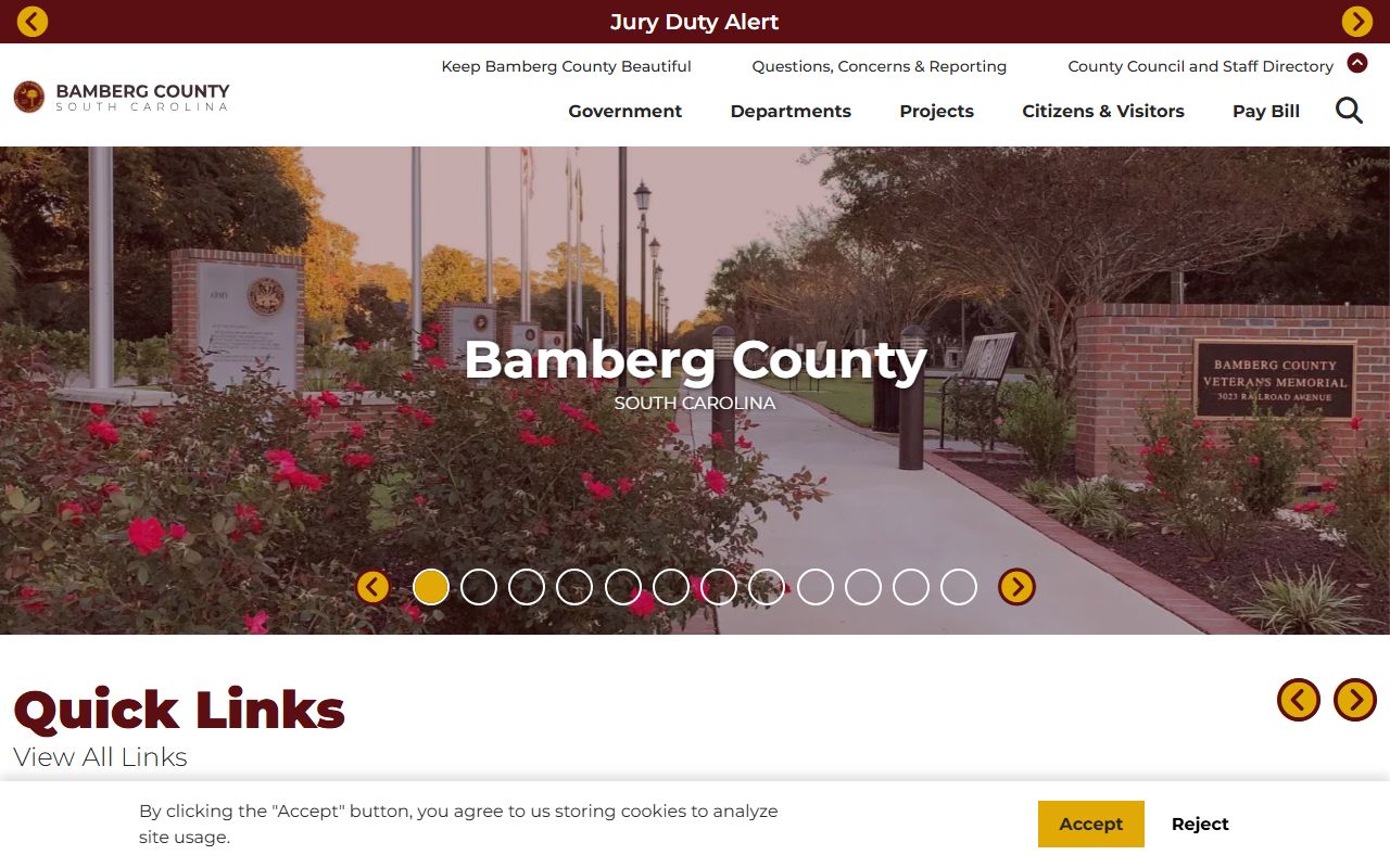 Bamberg County government website for felony records access