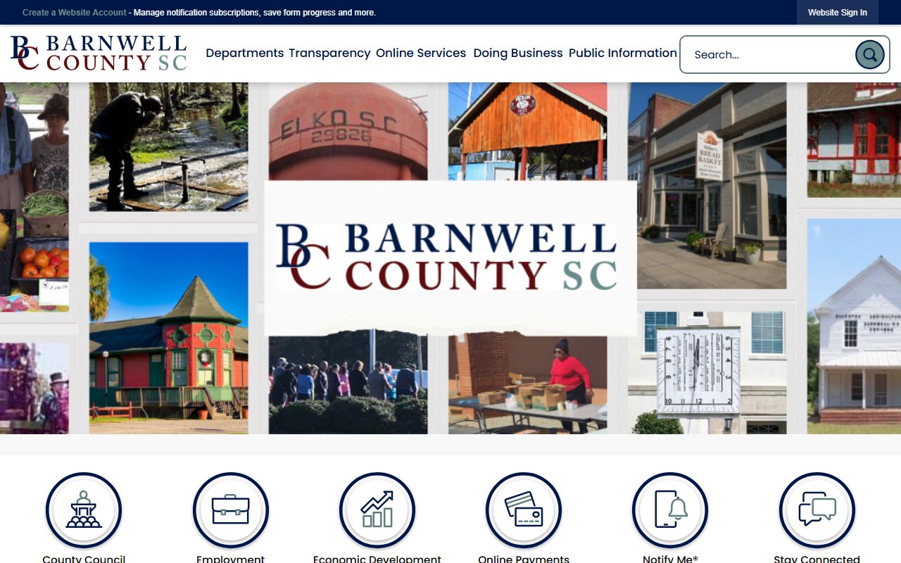 Barnwell County government website for felony records access