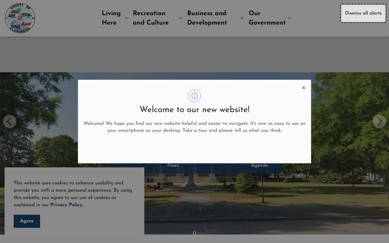 Clarendon County government website for felony records access