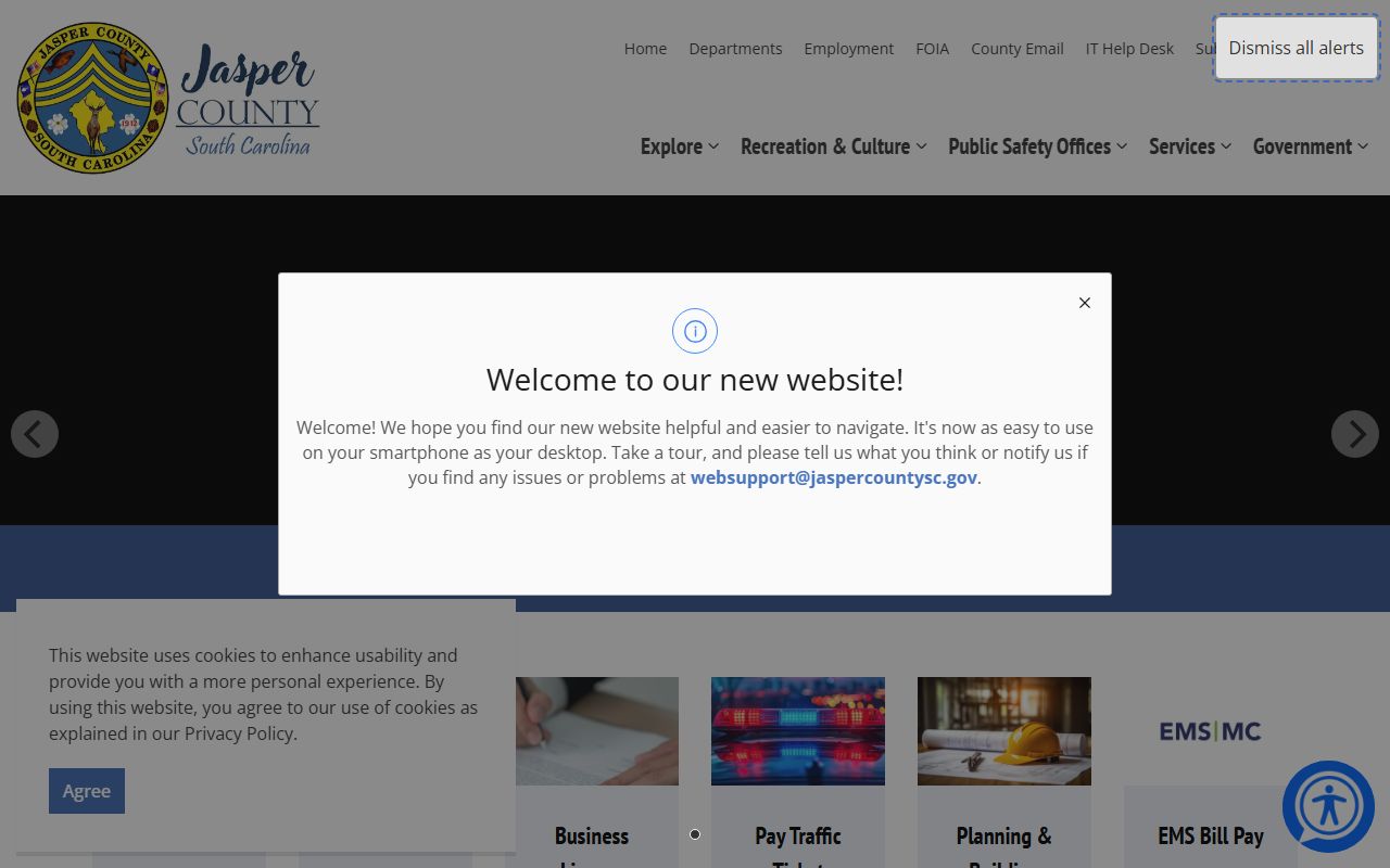Jasper County government website for felony records access